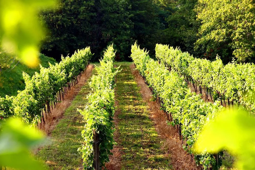 Agriturismo Il Belvedere Palazzago 0*,  Italie